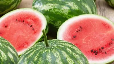 watermelon