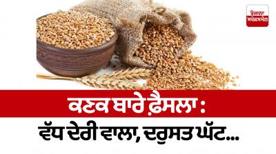 Decision on wheat: more delayed, less accurate...