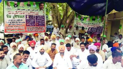 Congressmen Protesting  