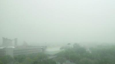 Dusty Wind  in Chandigarh