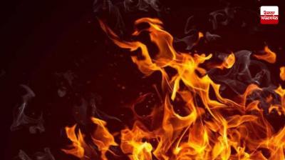 Surat Gujarat Major accident News