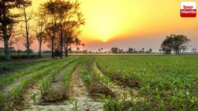 Punjab Weather Update