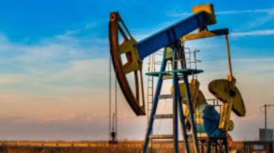 Massive oil gas reserves found in Pakistani 