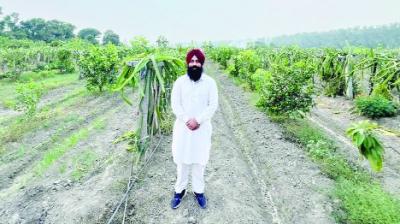 Inderjit Sidhu of village Poohli became an exemplary farmer
