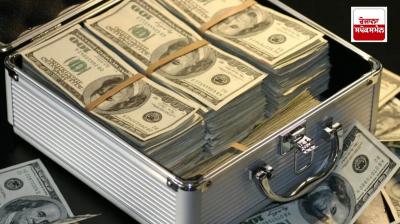 Dollars of many countries including the US were stolen in Mohali