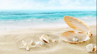 sea pearls shell