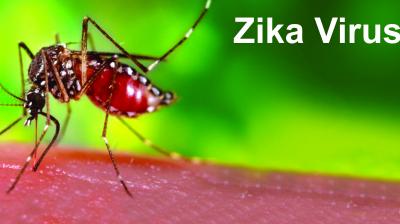 Zika Virus