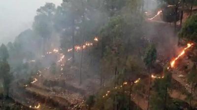  Uttarakhand Forest Fre