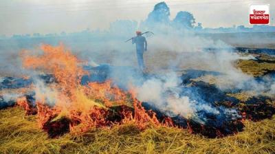 Now the Punjab Police is also in direct action to prevent stubble burning