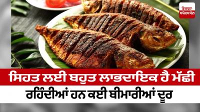 Fish is very useful for health