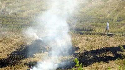 Stubble burning