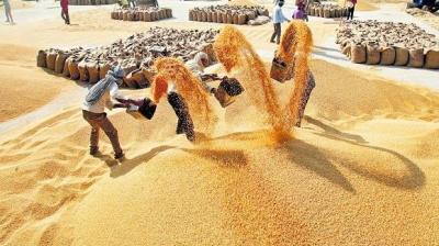 Grain Market (file photo)