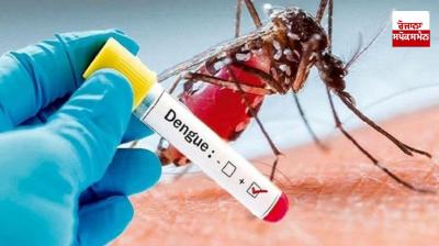 Fury of dengue, 673 new cases of dengue were reported in 10 days