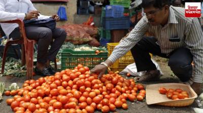 Farmers are getting only 33 rupees on tomato worth 100 rupees, the remaining money going into whose pocket?