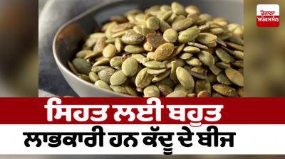 Pumpkin seeds are very beneficial for health