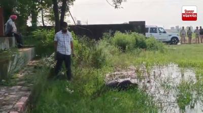 ਕਪੂਰਥਲਾ 'ਚ ਦੋ ਬਦਮਾਸ਼ ਗ੍ਰਿਫ਼ਤਾਰ, 10 ਗ੍ਰਾਮ ਹੈਰੋਇਨ, 1 ਪਿਸਤੌਲ ਤੇ 3 ਕਾਰਤੂਸ ਹੋਏ ਬਰਾਮਦ 