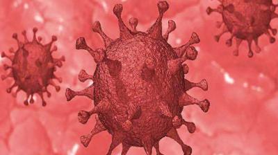 1183 recorvered nine died and 260 new coronavirus cases in ludhiana