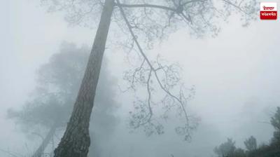 Uttarakhand Weather Update News