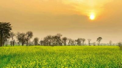 Punjab’s air quality ‘better’ than neighbours Delhi, Haryana