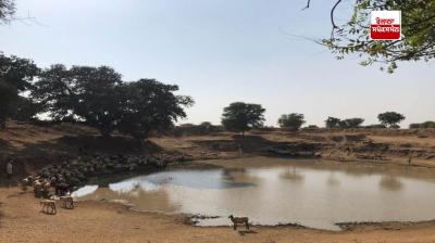Village ponds are disappearing