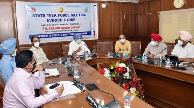 80% of Dengue cases reported from urban areas