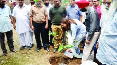 DC Isha Kalia  plant a plant in the  Dhanoa Feeder