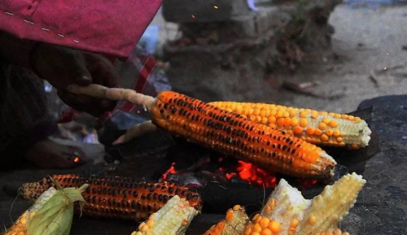 bhutta eat bhutta eat