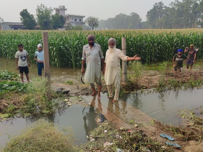 Barnala Rajbaha breaking farmers News in punjabi 