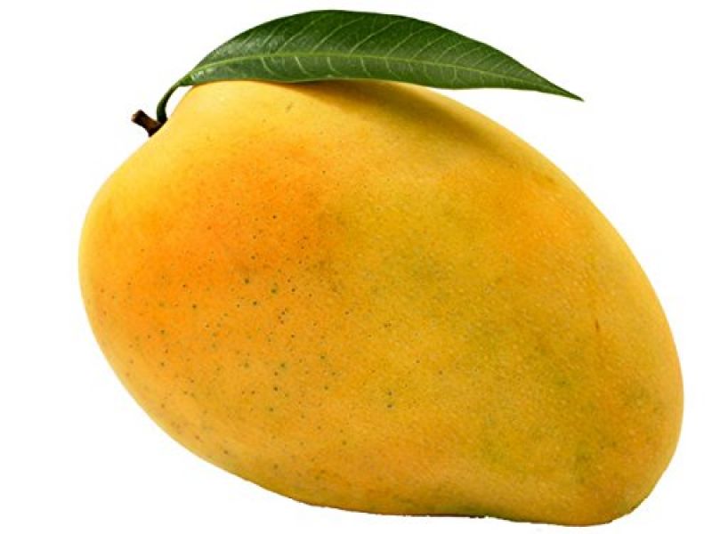 safida mango