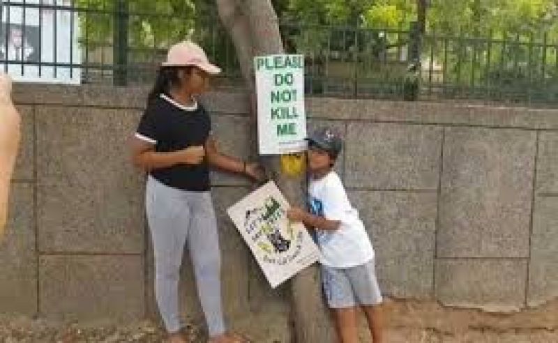 trees cutting protest child