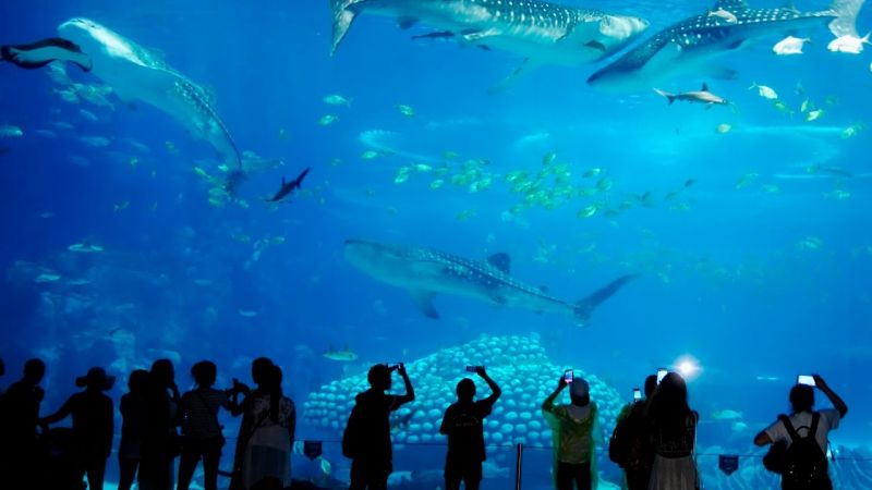 SeaWorld Aquarium, Rameshwaram