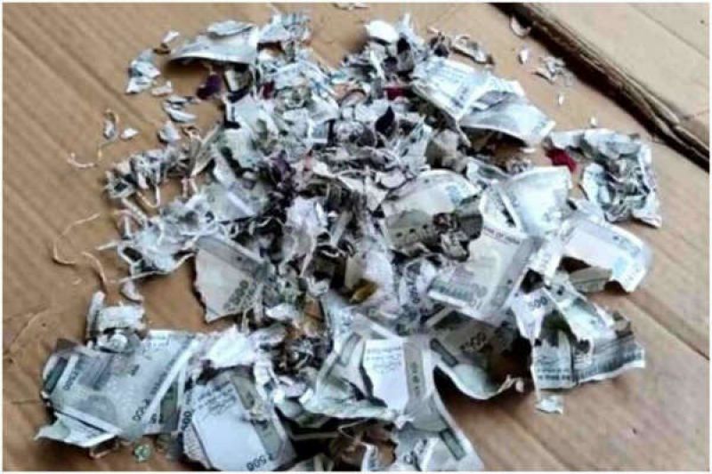 The farmer collected Rs 2 lakh for the surgery but the rats gnawed on him The farmer collected Rs 2 lakh for the surgery but the rats gnawed on him