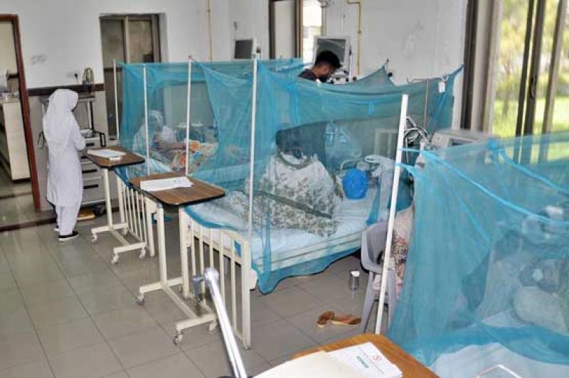 Dengue spreads in districts of Punjab