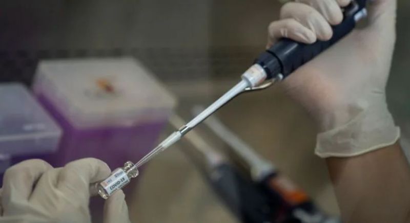 Corona Virus Vaccine  Corona Virus Vaccine