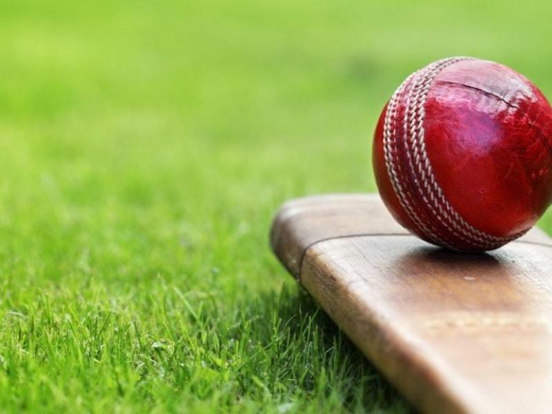 Cricket  Cricket