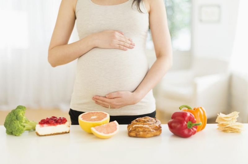 Diet during Pregnancy  Diet during Pregnancy