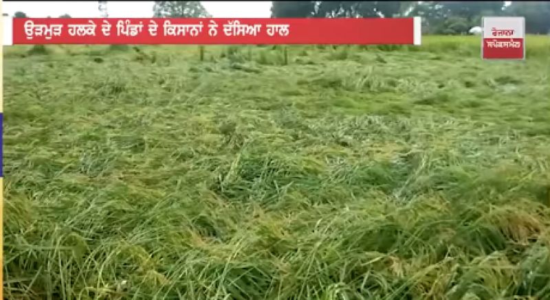 rain destroy crop rain destroy crop