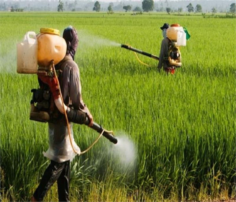 Farmers Farmers