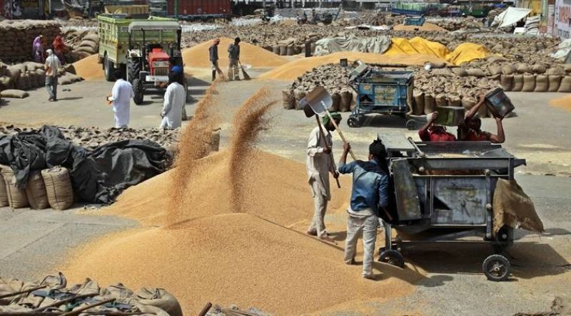 Paddy Procurement