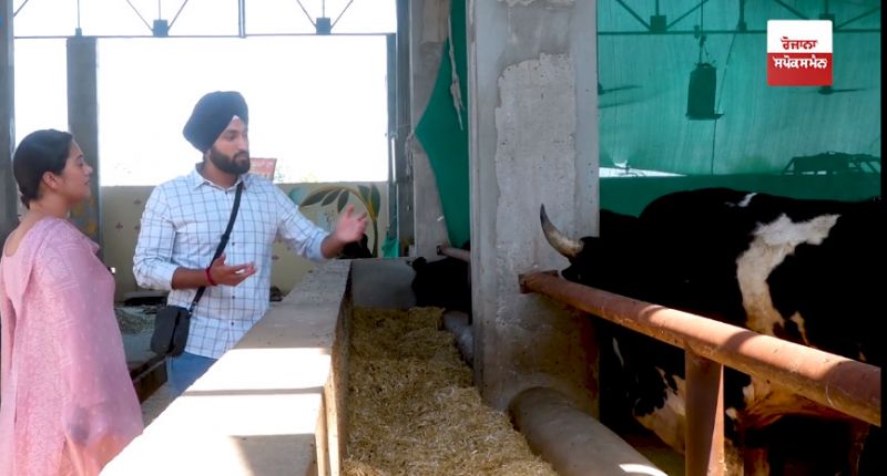Kamdhenu Gau Dhaam Trust Amritsar Kamdhenu Gau Dhaam Trust Amritsar