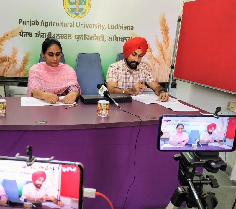 Samrala Farmers Share Their Experiences During PAU Live Programme  Samrala Farmers Share Their Experiences During PAU Live Programme