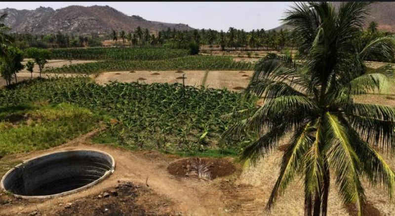 20,000 Women Revived A Dry River In Tamil Nadu