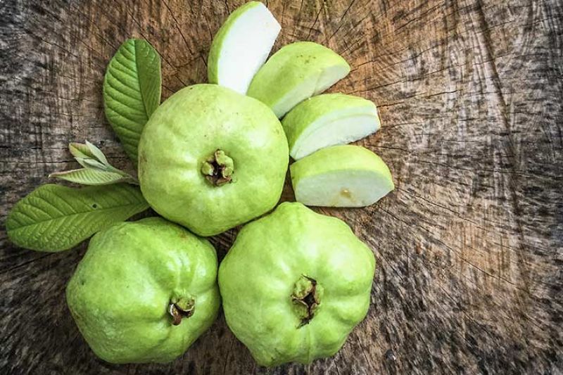 Guava 