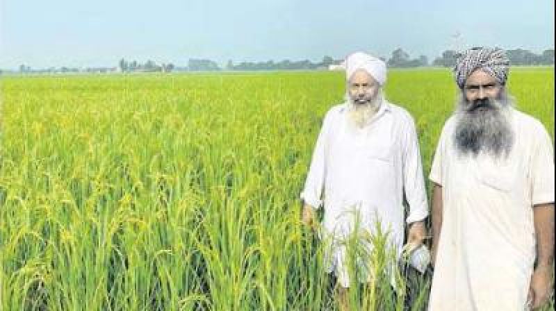 Kissan Surjit Singh