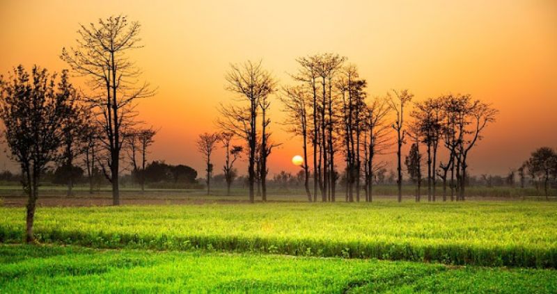 File Photo File Photo