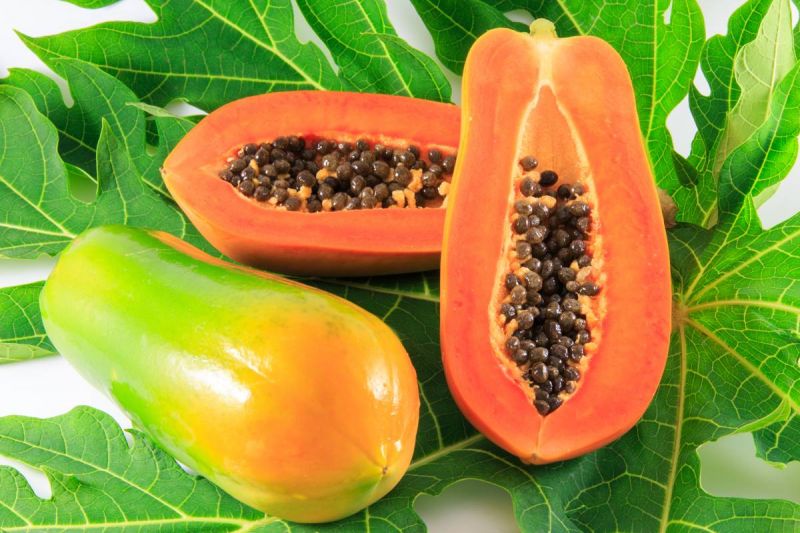 Papaya