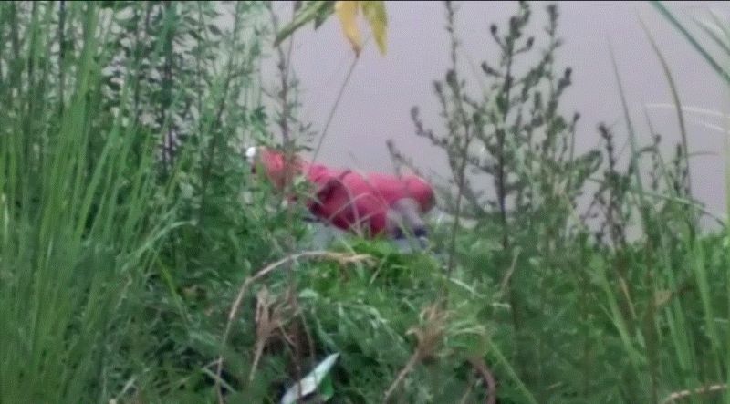 IELTS student jumps into canal, dies