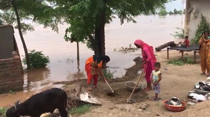 Flood in Punjab