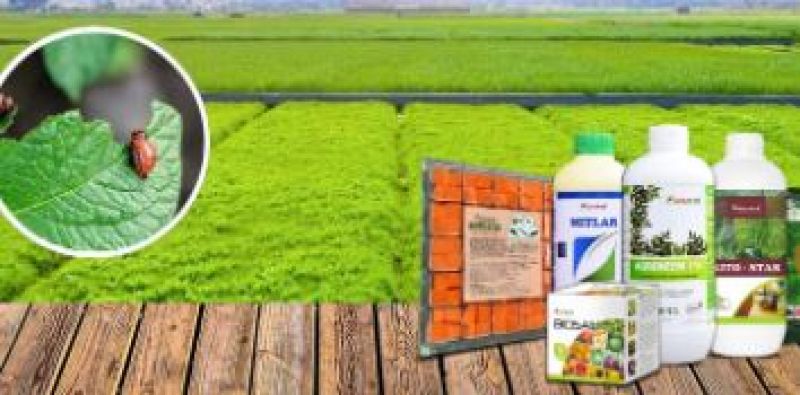 Agro Chemicals  Agro Chemicals
