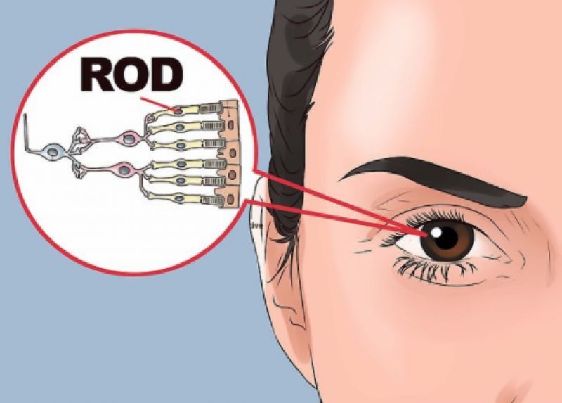 Glowing contact lens could prevent blindness